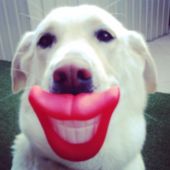 Meet your Posher, Laura - Picture 1 of 1